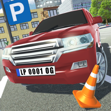 Activities of Luxury Parking