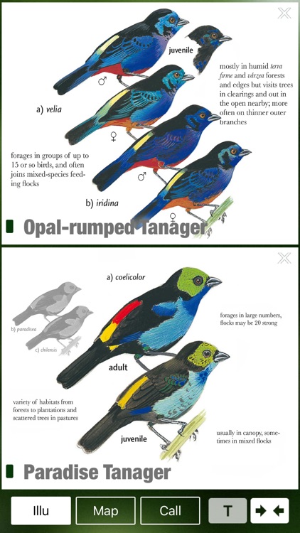 All Birds Northern Brazil - a field guide to all the bird species recorded in this region of South America screenshot-3