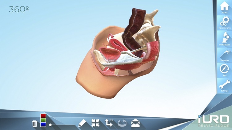 iURO Pelvic Floor PRO screenshot-4