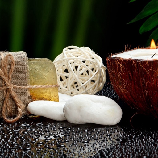 Natural Soap Making Guide:Herbal,Vegetable
