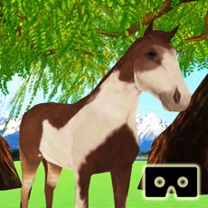 Activities of VR Horse