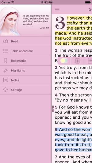 Catholic Women's Bible (CPDV Offline Free Audio Version in E(圖2)-速報App