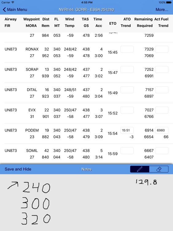 Flight Briefing screenshot-3