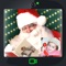 Video Call Santa for Christmas features a real actor, dressed up as Santa, calling your kids at any time they desire