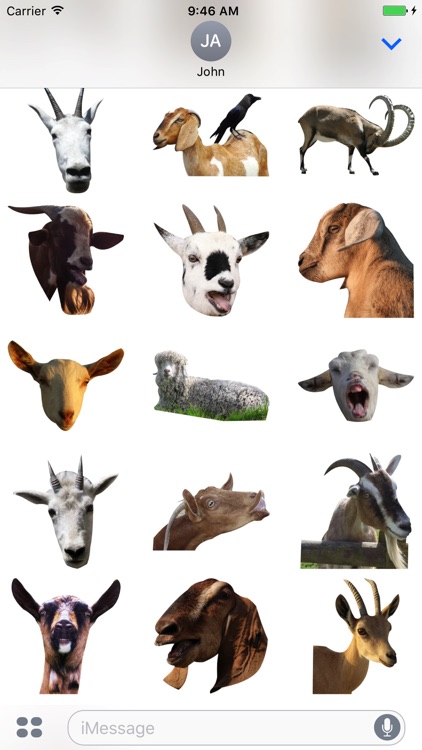 Goat Zoo Stickers