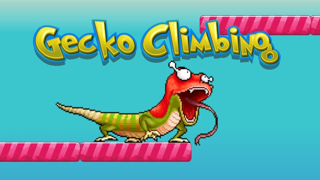 Gecko climbing wall - Lizard Reptiles fo