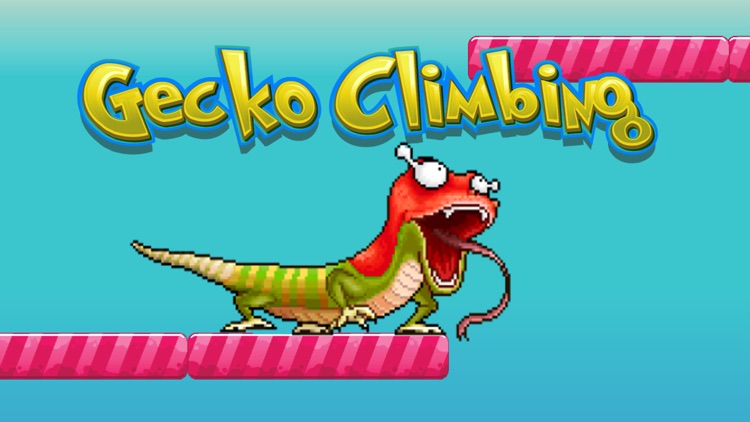 Gecko climbing wall - Lizard Reptiles for rango