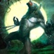 WereWolf Fight Simulator 2018