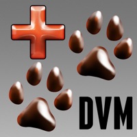 DVM Calc pour PC