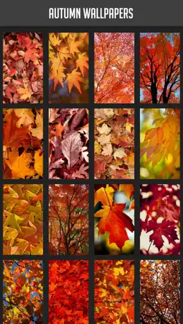 Game screenshot Autumn Wallpapers mod apk