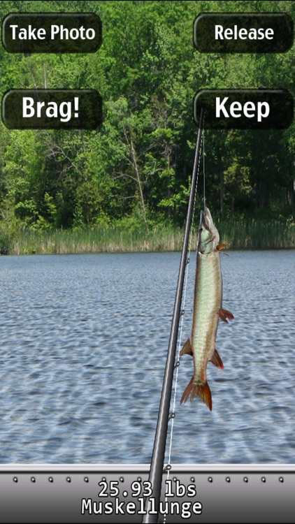 i Fishing
