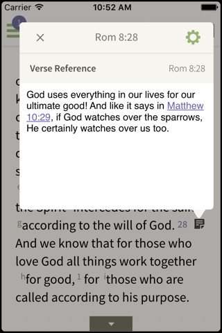 ESV Strong's Bible screenshot 2