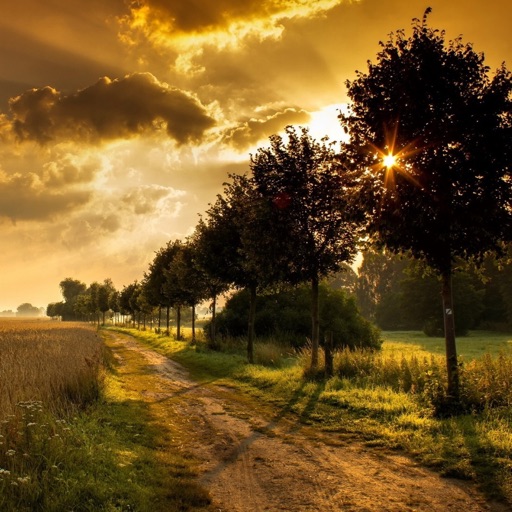Countryside Wallpapers HD - Best Natural Pictures iOS App
