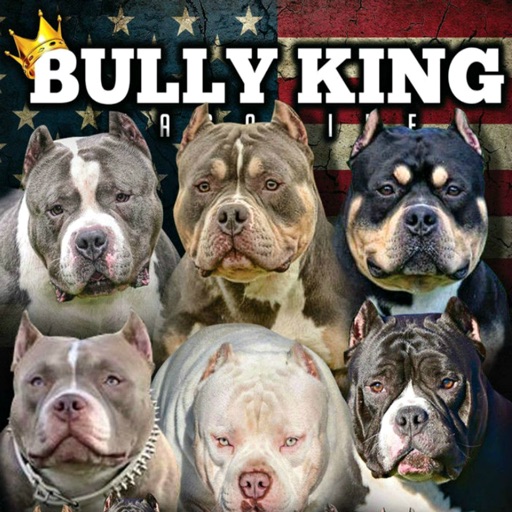 BULLY KING Magazine iOS App