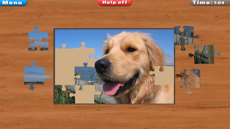 Jigsaw Puzzles!