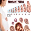 Pregnancy Portal