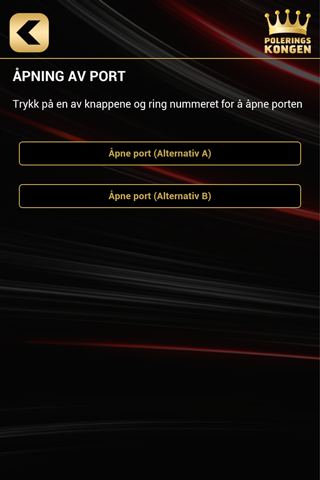 Poleringskongen screenshot 4