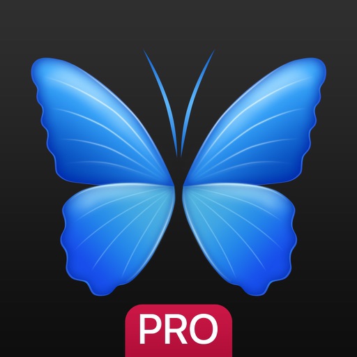 Everpix Pro - 背景、壁紙や画像