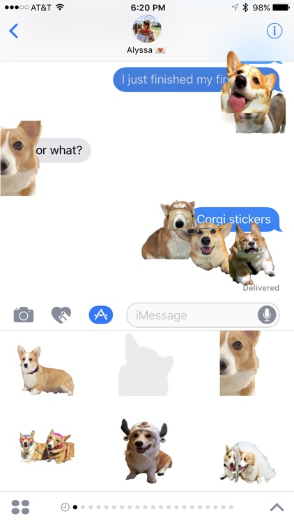 Corky Corgi