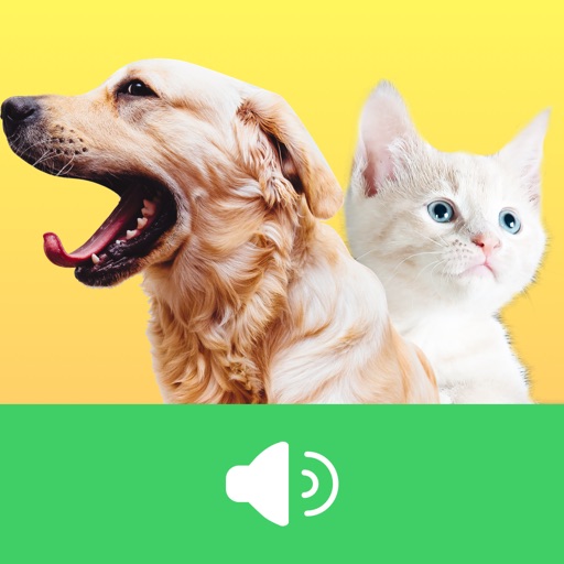 Animal Voices Box - Natural Animal Sounds Library icon