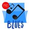 Blues Music Pro - Radio, Blues Songs & Festival News