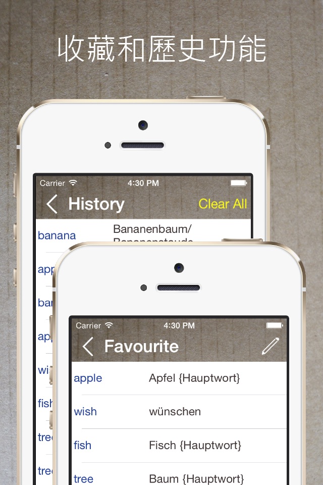 German English Dictionary Lite screenshot 4