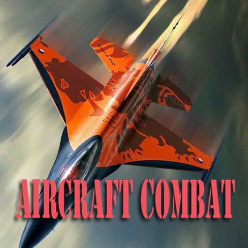 War Aircraft Combat Icon
