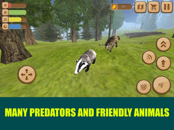 Badger Simulator 3D