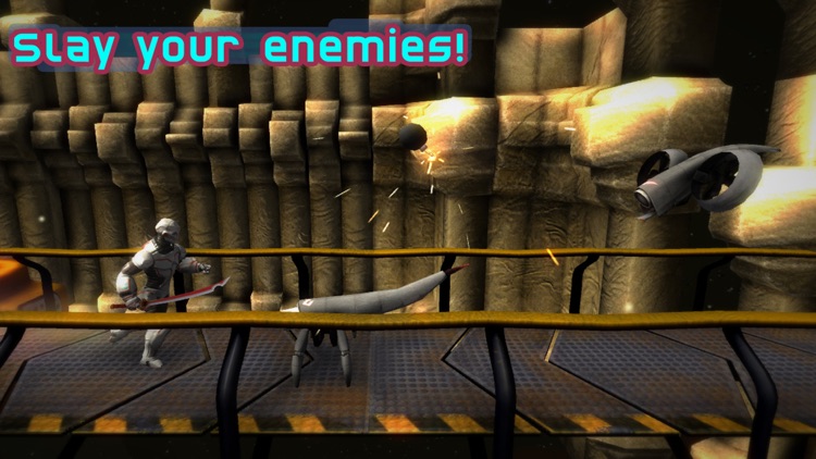 Vector Ninja screenshot-4