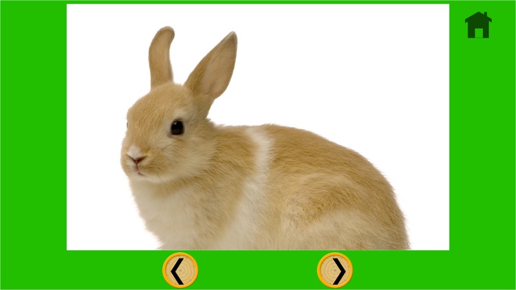 rabbits for good kids - no ads screenshot-3