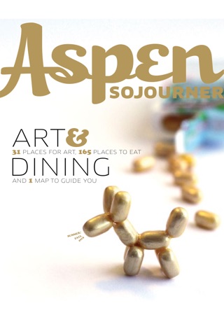 Aspen Sojourner screenshot 4