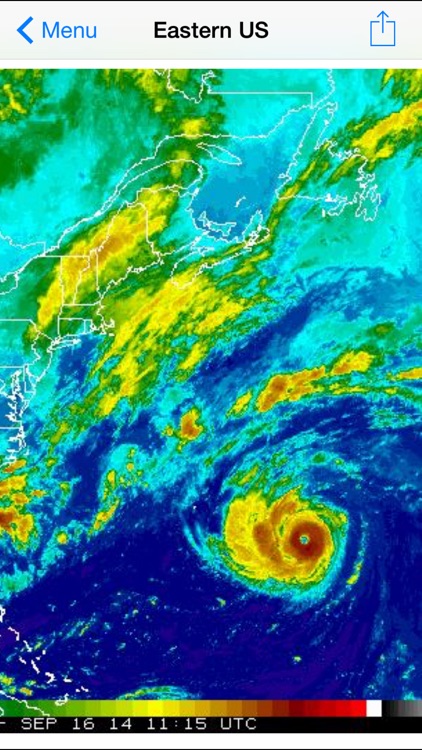 Forecast Now