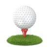 Golf Guess - Name the Pro Golf Players!