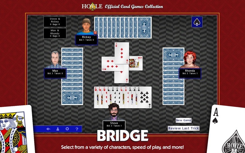fun bridge game