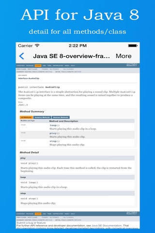 API for Java 8 screenshot 2