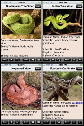 Snakes Encyclopedia Plus+ screenshot 2