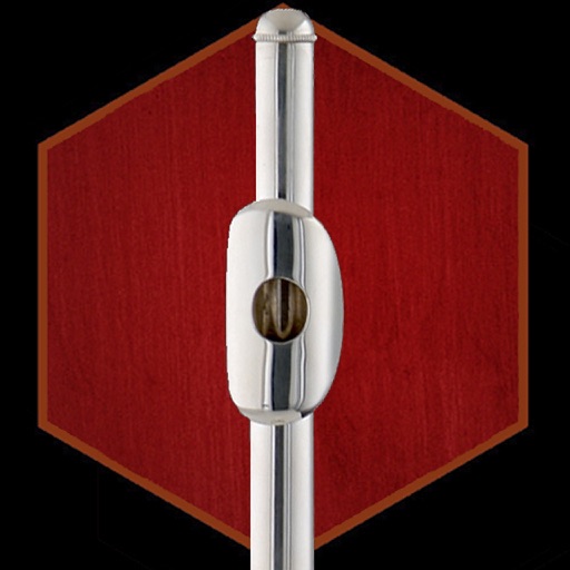 Flautina - Irish Flute Concertina icon