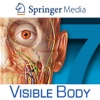 Human Anatomy Atlas 7 for Springer – 3D Anatomical Model of the Human Body