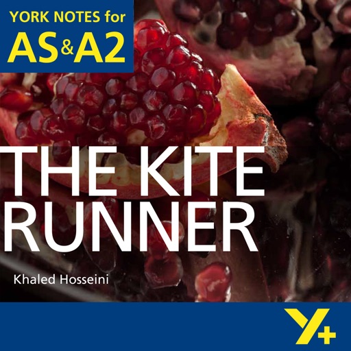 The Kite Runner York Notes AS and A2