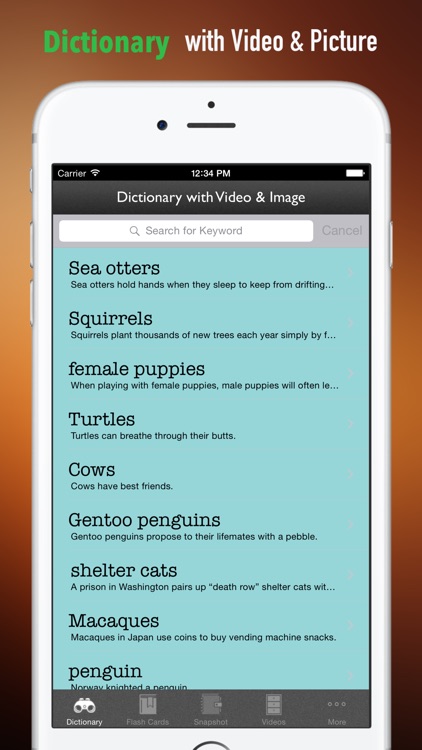 Funny Facts about Animals: Be Surprised and Smile screenshot-3