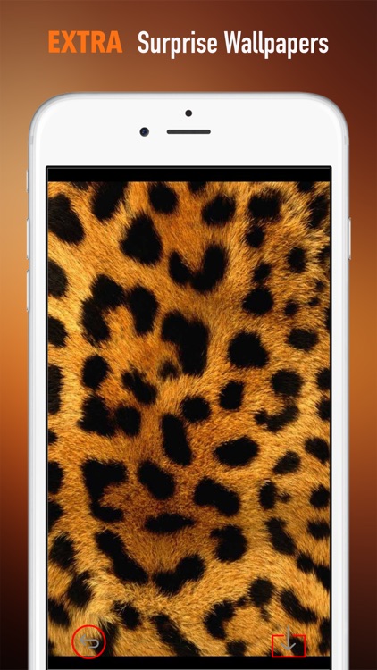 Leopard Print Wallpapers HD: Quotes Backgrounds Creator with Best Designs and Patterns