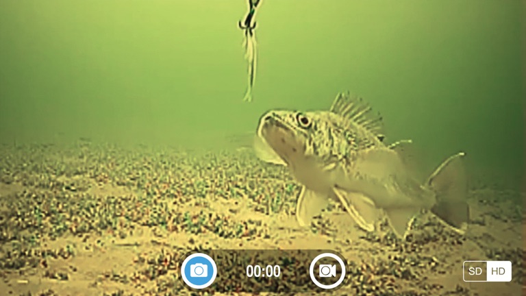 【图】FishSens SondeCAM(截图2) 【图】FishSens SondeCAM(截图2)