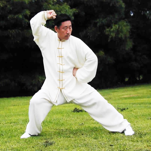 Tai Chi Clinic