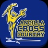 Ancilla College Cross Country.