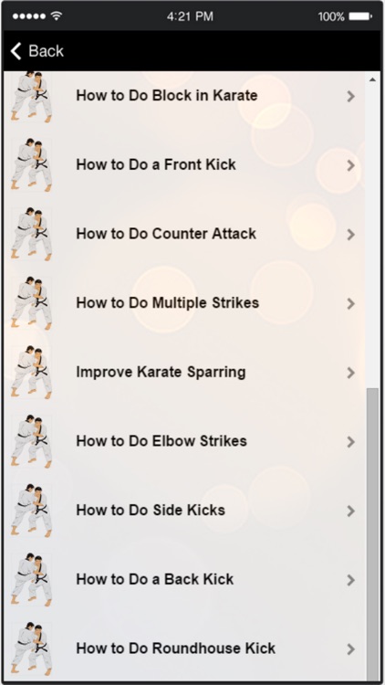 Karate Techniques - Learn Basic Karate Moves Easily screenshot-2