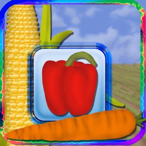 Vegetables Magnet Board Preschool Learning Experience Game