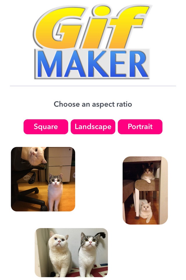 Gif Maker - Create Gif Stickers & Video with Text, Emoji & Images screenshot 4