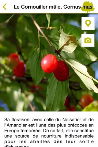 Val de Bièvre, un campus engagé pour la biodiversité et la biophilie screenshot 3