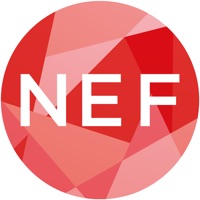 NEXT EINSTEIN FORUM (NEF) sur PC