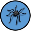 Spider Mobile Application